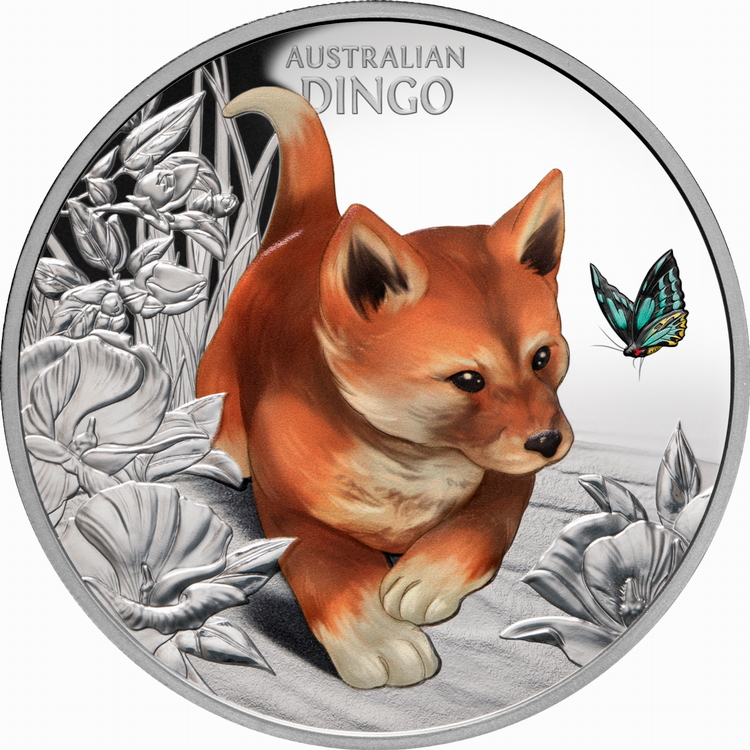 Niue_2024_Cute_and_Cuddly_1_Baby_Dingo_Pup_$1_1_Troy_Ounce_Pure_Silver_Proof_with_Color