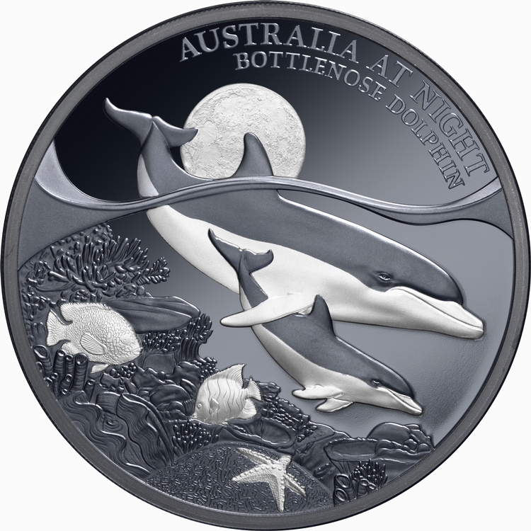 Niue_2025_Australia_at_Night_Bottlenose_Dolphin_$1_1_Troy_Ounce_Pure_Silver_Black_Proof