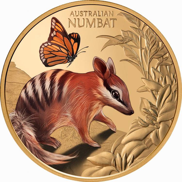 Niue_2025_Cute_and_Cuddly_2_Baby_Numbat_Joey_$100_1_Troy_Ounce_Pure_Gold_Proof_with_Color_MINTAGE_99