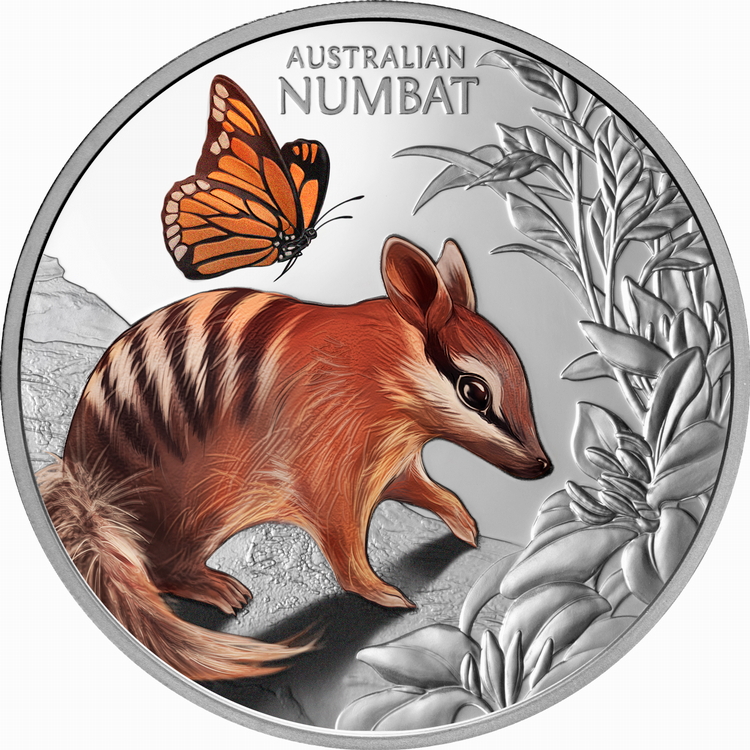 Niue_2025_Cute_and_Cuddly_2_Baby_Numbat_Joey_$1_1_Troy_Ounce_Pure_Silver_Proof_with_Color