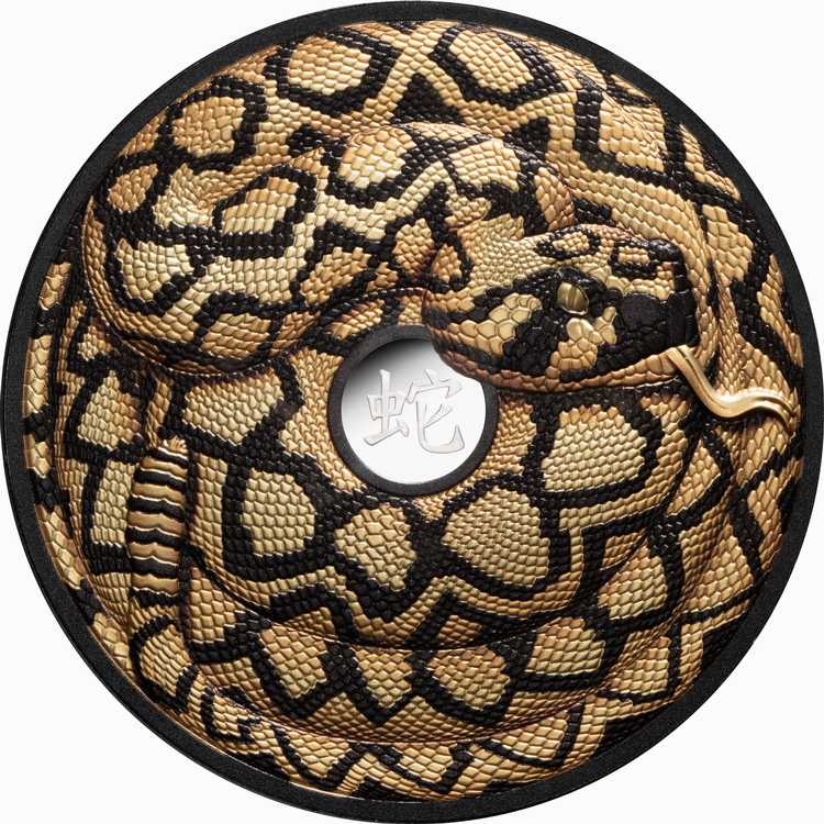 Niue_2025_Year_of_the_Snake_Chinese_Lunar_Zodiac_$10_5_Troy_Oz_Pure_Silver_Gilded_Black_Proof_MINTAGE_888