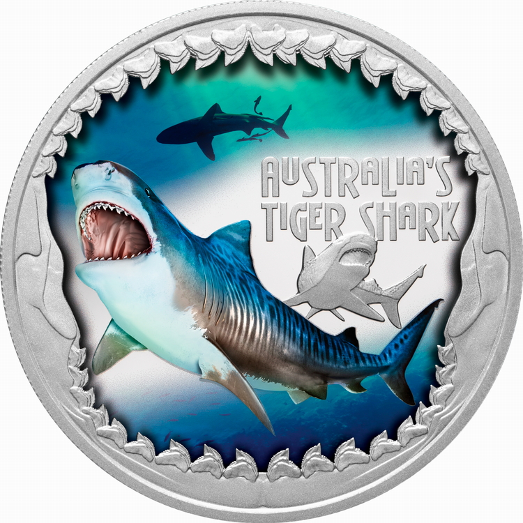 Tuvalu_2023_Deadly_and_Dangerous_Tiger_Shark_$1_1_Troy_Ounce_Pure_Silver_Proof_with_Color