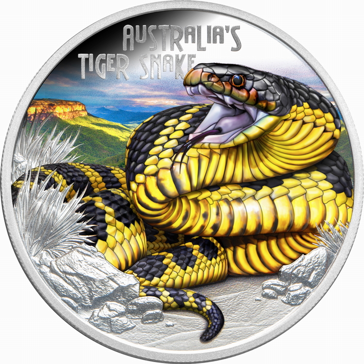 Tuvalu_2025_Tiger_Snake_Deadly_and_Dangerous_$1_1_Troy_Oz_Pure_Silver_Proof_with_Color