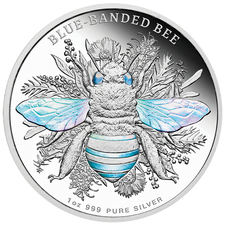 Niue_2025_Australian_Native_Bees_1_Blue_Banded_Bee_$2_1_Troy_Ounce_Pure_Silver_Proof_with_Hologram_MINTAGE_1000