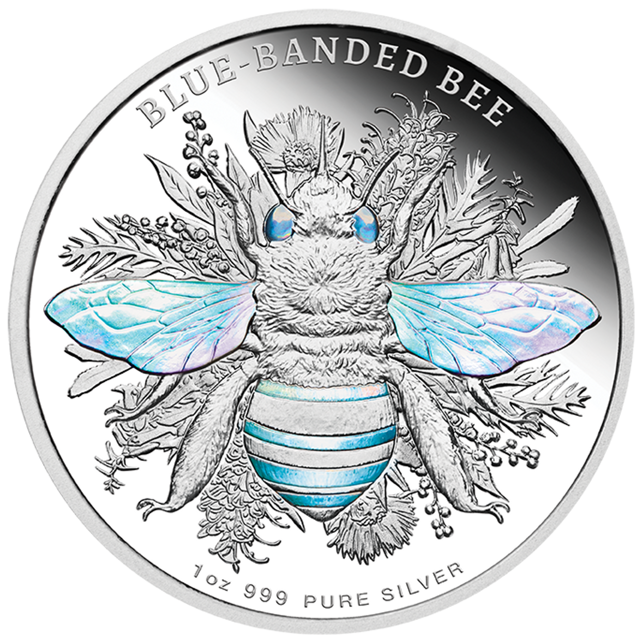 Niue_2025_Australian_Native_Bees_1_Blue_Banded_Bee_$2_1_Troy_Ounce_Pure_Silver_Proof_with_Hologram_MINTAGE_1000