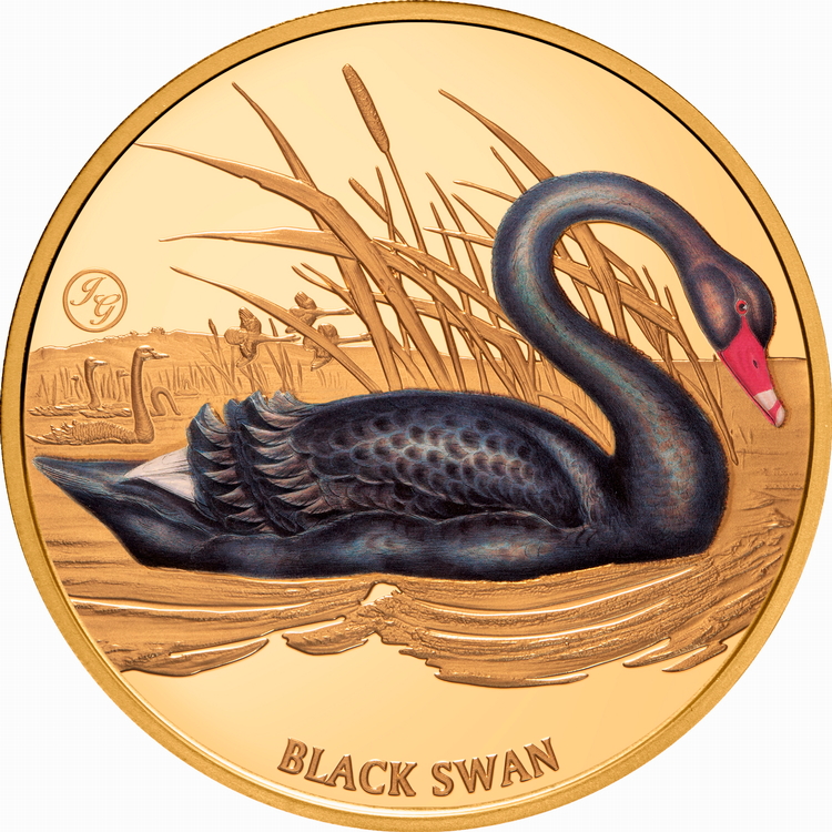 Niue_2026_Birds_of_Australia_Black_Swan_John_Gould_$100_1_Troy_Oz_Pure_Silver_Proof_with_Color_MINTAGE_50